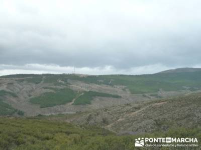 Senda Genaro - GR300 - Embalse de El Atazar -El Atazar - Robledillo de la Jara -Cervera de Buitrago